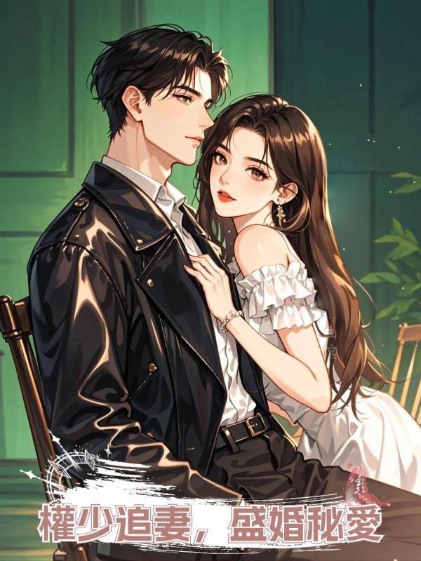 權少追妻,盛婚秘愛