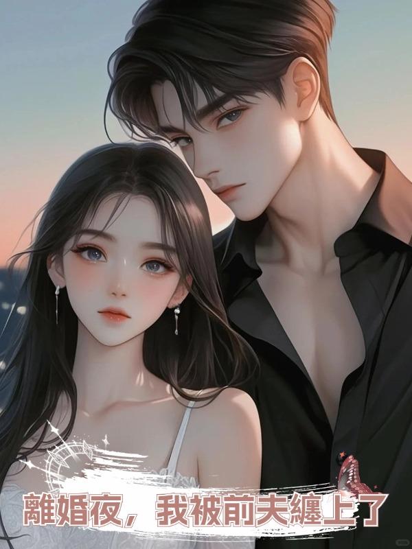離婚夜,我被前夫纏上了